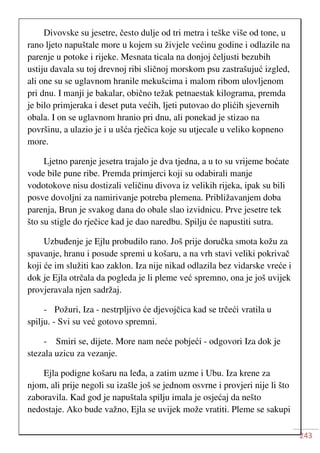 243
Divovske su jesetre, često dulje od tri metra i teške više od tone, u
rano ljeto napuštale more u kojem su živjele većinu godine i odlazile na
parenje u potoke i rijeke. Mesnata ticala na donjoj čeljusti bezubih
ustiju davala su toj drevnoj ribi sličnoj morskom psu zastrašujuć izgled,
ali one su se uglavnom hranile mekušcima i malom ribom ulovljenom
pri dnu. I manji je bakalar, obično težak petnaestak kilograma, premda
je bilo primjeraka i deset puta većih, ljeti putovao do plićih sjevernih
obala. I on se uglavnom hranio pri dnu, ali ponekad je stizao na
površinu, a ulazio je i u ušća rječica koje su utjecale u veliko kopneno
more.
Ljetno parenje jesetra trajalo je dva tjedna, a u to su vrijeme boćate
vode bile pune ribe. Premda primjerci koji su odabirali manje
vodotokove nisu dostizali veličinu divova iz velikih rijeka, ipak su bili
posve dovoljni za namirivanje potreba plemena. Približavanjem doba
parenja, Brun je svakog dana do obale slao izvidnicu. Prve jesetre tek
što su stigle do rječice kad je dao naredbu. Spilju će napustiti sutra.
Uzbuđenje je Ejlu probudilo rano. Još prije doručka smota kožu za
spavanje, hranu i posude spremi u košaru, a na vrh stavi veliki pokrivač
koji će im služiti kao zaklon. Iza nije nikad odlazila bez vidarske vreće i
dok je Ejla otrčala da pogleda je li pleme već spremno, ona je još uvijek
provjeravala njen sadržaj.
- Požuri, Iza - nestrpljivo će djevojčica kad se trčeći vratila u
spilju. - Svi su već gotovo spremni.
- Smiri se, dijete. More nam neće pobjeći - odgovori Iza dok je
stezala uzicu za vezanje.
Ejla podigne košaru na leđa, a zatim uzme i Ubu. Iza krene za
njom, ali prije negoli su izašle još se jednom osvrne i provjeri nije li što
zaboravila. Kad god je napuštala spilju imala je osjećaj da nešto
nedostaje. Ako bude važno, Ejla se uvijek može vratiti. Pleme se sakupi
 