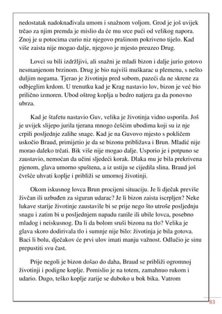 83
nedostatak nadoknađivala umom i snažnom voljom. Grod je još uvijek
trčao za njim premda je mislio da će mu srce pući od velikog napora.
Znoj je u potocima curio niz njegovo prašinom pokriveno tijelo. Kad
više zaista nije mogao dalje, njegovo je mjesto preuzeo Drug.
Lovci su bili izdržljivi, ali snažni je mladi bizon i dalje jurio gotovo
nesmanjenom brzinom. Drug je bio najviši muškarac u plemenu, s nešto
duljim nogama. Tjerao je životinju pred sobom, pazeći da ne skrene za
odbjeglim krdom. U trenutku kad je Krag nastavio lov, bizon je već bio
prilično izmoren. Ubod oštrog koplja u bedro natjera ga da ponovno
ubrza.
Kad je štafetu nastavio Guv, velika je životinja vidno usporila. Još
je uvijek slijepo jurila tjerana mnogo češćim ubodima koji su iz nje
crpili posljednje zalihe snage. Kad je na Guvovo mjesto s pokličem
uskočio Braud, primijetio je da se bizonu približava i Brun. Mladić nije
morao daleko trčati. Bik više nije mogao dalje. Usporio je i potpuno se
zaustavio, nemoćan da učini sljedeći korak. Dlaka mu je bila prekrivena
pjenom, glava umorno spuštena, a iz ustiju se cijedila slina. Braud još
čvršće uhvati koplje i približi se umornoj životinji.
Okom iskusnog lovca Brun procijeni situaciju. Je li dječak previše
živčan ili uzbuđen za siguran udarac? Je li bizon zaista iscrpljen? Neke
lukave starije životinje zaustavile bi se prije nego što utroše posljednju
snagu i zatim bi u posljednjem napadu ranile ili ubile lovca, posebno
mladog i neiskusnog. Da li da bolom sruši bizona na tlo? Velika je
glava skoro dodirivala tlo i sumnje nije bilo: životinja je bila gotova.
Baci li bolu, dječakov će prvi ulov imati manju važnost. Odlučio je sinu
prepustiti svu čast.
Prije negoli je bizon došao do daha, Braud se približi ogromnoj
životinji i podigne koplje. Pomislio je na totem, zamahnuo rukom i
udario. Dugo, teško koplje zarije se duboko u bok bika. Vatrom
 