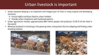 One Health research at ILRI to address neglected tropical diseases, zoonoses and emerging infectious diseases in Southeast Asia
