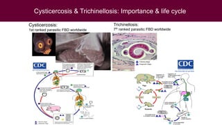 One Health research at ILRI to address neglected tropical diseases, zoonoses and emerging infectious diseases in Southeast Asia