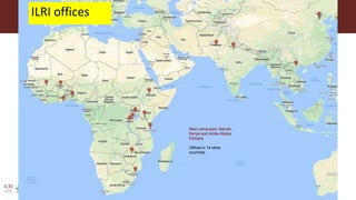 One Health research at ILRI to address neglected tropical diseases, zoonoses and emerging infectious diseases in Southeast Asia