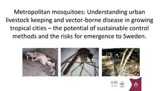 One Health research at ILRI to address neglected tropical diseases, zoonoses and emerging infectious diseases in Southeast Asia