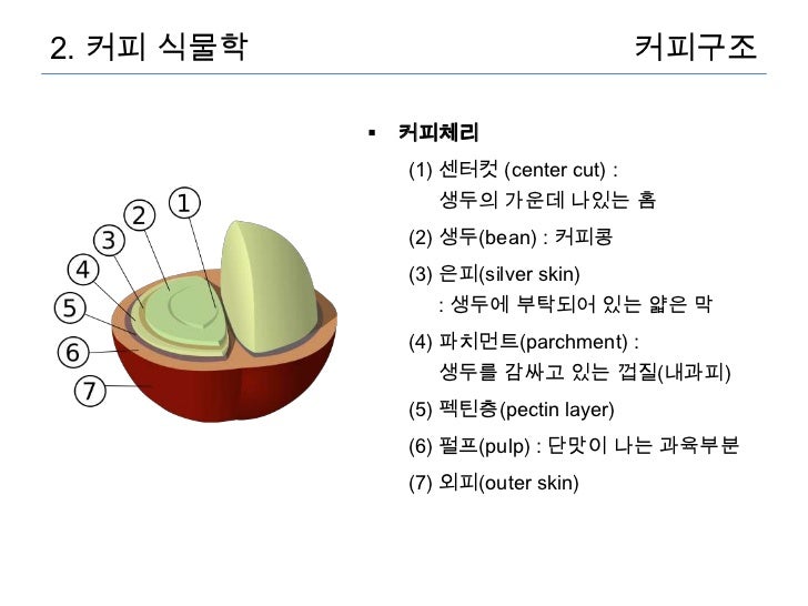 킨커피 이미지