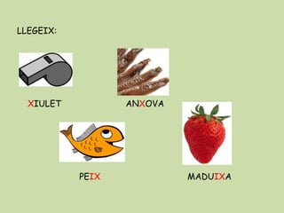 LLEGEIX:
XIULET ANXOVA
PEIX MADUIXA