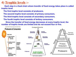 4) Trophic levels :-
Each step in a food chain where transfer of food energy takes place is called
trophic level.
The first trophic level consists of producers.
The second trophic level consists of primary consumers.
The third trophic level consists of secondary consumers.
The fourth trophic level consists of tertiary consumers.
Since the transfer of food energy decreases at every trophic level, the
number of trophic levels are limited and do not exceed four or five.
 