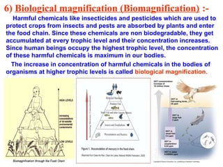 6) Biological magnification (Biomagnification) :-
Harmful chemicals like insecticides and pesticides which are used to
protect crops from insects and pests are absorbed by plants and enter
the food chain. Since these chemicals are non biodegradable, they get
accumulated at every trophic level and their concentration increases.
Since human beings occupy the highest trophic level, the concentration
of these harmful chemicals is maximum in our bodies.
The increase in concentration of harmful chemicals in the bodies of
organisms at higher trophic levels is called biological magnification.
 