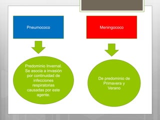 Pneumococo Meningococo
Predominio Invernal.
Se asocia a invasión
por continuidad de
infecciones
respiratorias
causadas por este
agente.
De predominio de
Primavera y
Verano
 