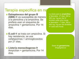 Terapia especifica en neonatos
 Estreptococo del grupo B
(GBS) es susceptible de manera
a la penicilina y la ampicilina. Se
prefiere usar un esquema de
ampicilina + gentamicina. Por 14
dias.
 E.coli se trata con ampicilina. Si
hay resistencia, se usa
cefalsporinas + aminoglicosidos
por 21 dias.
 Listeria monocitogenes
Ampicilian + gentamicina. Por 14
días.
La dosis para la ampicilina:
● Neonatos ≤7 días: 200 a
300 mg / kg por día IV
dividido cada ocho horas
● Neonatos > 7 días: 300 a
400 mg / kg por día divididos
IV cada seis horas
Dosis de gentamicina
4mg/kg/día ev
 
