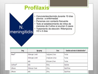 Profilaxis
N.
meningitidis
• Convivientes/dormido durante 10 días
previos a enfermedad
• Personas con contacto frecuente
• Todo el establecimiento de niños de
menores de 2 años si ocurren 2 casos
• Tratamiento de elección: Rifampicina
VO x 2 días
 
