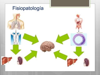Fisiopatología
 