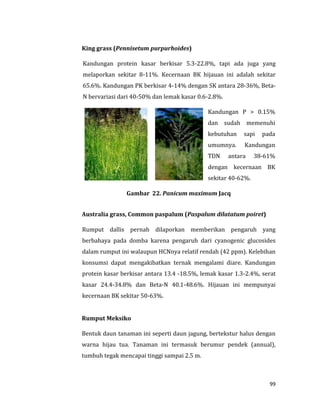 99
King grass (Pennisetum purpurhoides)
Kandungan protein kasar berkisar 5.3-22.8%, tapi ada juga yang
melaporkan sekitar 8-11%. Kecernaan BK hijauan ini adalah sekitar
65.6%. Kandungan PK berkisar 4-14% dengan SK antara 28-36%, Beta-
N bervariasi dari 40-50% dan lemak kasar 0.6-2.8%.
Kandungan P > 0.15%
dan sudah memenuhi
kebutuhan sapi pada
umumnya. Kandungan
TDN antara 38-61%
dengan kecernaan BK
sekitar 40-62%.
Gambar 22. Panicum maximum Jacq
Australia grass, Common paspalum (Paspalum dilatatum poiret)
Rumput dallis pernah dilaporkan memberikan pengaruh yang
berbahaya pada domba karena pengaruh dari cyanogenic glucosides
dalam rumput ini walaupun HCNnya relatif rendah (42 ppm). Kelebihan
konsumsi dapat mengakibatkan ternak mengalami diare. Kandungan
protein kasar berkisar antara 13.4 -18.5%, lemak kasar 1.3-2.4%, serat
kasar 24.4-34.8% dan Beta-N 40.1-48.6%. Hijauan ini mempunyai
kecernaan BK sekitar 50-63%.
Rumput Meksiko
Bentuk daun tanaman ini seperti daun jagung, bertekstur halus dengan
warna hijau tua. Tanaman ini termasuk berumur pendek (annual),
tumbuh tegak mencapai tinggi sampai 2.5 m.
 