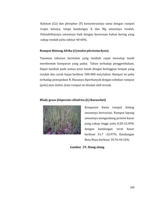 103
Kalsium (Ca) dan phosphor (P) konsentrasinya sama dengan rumput
tropis lainnya, tetapi kandungan K dan Mg umumnya rendah.
Palatabilitasnya umumnya baik dengan kecernaan bahan kering yang
cukup rendah yaitu sekitar 40-60%.
Rumput Bintang Afrika (Cynodon plectostachyus).
Tanaman tahunan berstolon yang tumbuh cepat menutup tanah
membentuk hamparan yang padat. Tahan terhadap penggembalaan.
Dapat tumbuh pada semua jenis tanah dengan ketinggian tempat yang
rendah dan curah hujan berkisar 500-800 mm/tahun. Rumput ini peka
terhadap pemupukan N. Biasanya diperbanyak dengan sobekan rumpun
(pols) atau stolon. Jenis rumput ini disukai oleh ternak.
Blady grass (Imperata cilindrica (L) Raeuschel)
Komposisi kimia rumput ilalang
umumnya bervariasi. Rumput lapang
umumnya mengandung protein kasar
yang cukup tinggi yaitu 8.20-12.49%
dengan kandungan serat kasar
berkisar 31.7 -32.97%. Kandungan
Beta-Nnya berkisar 39.76-44.16%.
Gambar 29. Alang-alang
 