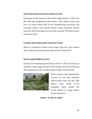 105
Stylo (Stylosanthes guianensis (Aublet) Swartz)
Kandungan protein kasarnya tidak terlalu tinggi berkisar 12-18% dari
BK. Stylo juga mengandung oxalat sekitar 1.72% dimana oxalat yang
laru t air cukup rendah yaitu 0.15%. Palatabilitasnya bervariasi, tapi
umumnya hijauan muda kurang disukai ternak. Kecernaan BK-nya
bervariasi 40% pada hijauan tua dan bisa mencapai 70% pada hijauan
yang masih muda.
Carribian Stylo (Stylosanthes hamata (L.) Taub)
Hijuan ini kualitasnya hampir mirip dengan stylo dan cukup disukai
oleh ternak. Kecernaan Bahan Keringnya berkisar 60.8-66.9%.
Glycine wightii (Wight & Arnot)
Tanaman ini mengandung protein kasar sekitar 11-20%. Serat kasarnya
umumnya cukup tinggi mencapai 42.6% dengan beta-N bisa mencapai
40%. Kandungan Ca dan P adalah masing-masing 1.5% dan 0.29%.
Selain rumput untuk digembalakan
tanaman ini bisa juga diberikan
dalam bentuk segar atau hay. TDN
hijauan segar adalah 57.3%
sedangkan dalam bentuk hay
53.3%. Hijauan ini sangat disukai
ternak ruminansia
Gambar 33. Glycine wightii
 