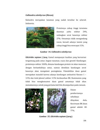 106
Calliandra calothyrsus (Messn)
Kaliandra merupakan tanaman yang sudah tersebar ke seluruh
Indonesia.
Proteinnya cukup tinggi terutama
daunnya yaitu sekitar 24%,
sedangkan serat kasarnya sekitar
27%. Umumnya tidak mengandung
racun, kecuali adanya tannin yang
cukup tinggi bisa mencapai 11%.
Gambar 34. Calliandra calothyrsus
Gliciridia sepium ( Jacq. Gamal mempunyai kualitas yang bervariasi
tergantung pada umur, bagian tanaman, cuaca dan genotif. Kandungan
proteinnya sekitar 18.8%, dimana kandungan protein ini akan menurun
dengan bertambahnya umur, namun demikian kandungan serat
kasarnya akan mengalami peningkatan. Palatabilitas daun gamal
merupakan masalah karena adanya kandungan antinutrisi flavano 1 –
3.5% dan total phenol sekitar 3-5% berdasarkan BK. Ruminansia yang
tidak bisa mengkonsumsi daun gamal umumnya tidak akan
memakannnya untuk yang pertama kali bila dicampurkan pada ransum.
Dalam
pemberiannya
sebaiknya
dilayukan dulu.
Kecernaan BK daun
gamal adalah 48-
77%.
Gambar 35. Gliciridia sepium ( Jacq.)
 