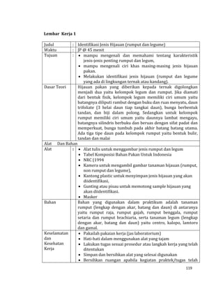 119
Lembar Kerja 1
Judul : Identifikasi Jenis Hijauan (rumput dan legume)
Waktu : JP @ 45 menit
Tujuan :  mampu mengenali dan memahami tentang karakteristik
jenis-jenis penting rumput dan legum,
 mampu mengenali ciri khas masing-masing jenis hijauan
pakan.
 Melakukan identifikasi jenis hijauan (rumput dan legume
yang ada di lingkungan ternak atau kandang).
Dasar Teori Hijauan pakan yang diberikan kepada ternak digolongkan
menjadi dua yaitu kelompok legum dan rumput. Jika diamati
dari bentuk fisik, kelompok legum memiliki ciri umum yaitu
batangnya diliputi rambut dengan buku dan ruas menyatu, daun
trifoliate (3 helai daun tiap tangkai daun), bunga berbentuk
tandan, dan biji dalam polong. Sedangkan untuk kelompok
rumput memiliki ciri umum yaitu daunnya lambat mengayu,
batangnya silindris berbuku dan beruas dengan sifat padat dan
memperkuat, bunga tumbuh pada akhir batang batang utama.
Ada tiga tipe daun pada kelompok rumput yaitu bentuk bulir,
tandan dan malai
Alat Dan Bahan
Alat :  Alat tulis untuk menggambar jenis rumput dan legum
 Tabel Komposisi Bahan Pakan Untuk Indonesia
 NRC (1994
 Kamera untuk mengambil gambar tanaman hijauan (rumput,
non rumput dan legume),
 Kantong plastic untuk menyimpan jenis hijauan yang akan
diidentifikasi,
 Gunting atau pisau untuk memotong sample hijauan yang
akan diidentifikasi.
 Masker
Bahan Bahan yang digunakan dalam praktikum adalah tanaman
rumput (lengkap dengan akar, batang dan daun) di antaranya
yaitu rumput raja, rumput gajah, rumput benggala, rumput
setaria dan rumput brachiaria, serta tanaman legum (lengkap
dengan akar, batang dan daun) yaitu centro, kalopo, lamtoro
dan gamal.
Keselamatan
dan
Kesehatan
Kerja
 Pakailah pakaian kerja (jas laboratorium)
 Hati-hati dalam menggunakan alat yang tajam
 Lakukan tugas sesuai prosedur atau langkah kerja yang telah
ditentukan
 Simpan dan bersihkan alat yang selesai digunakan
 Bersihkan ruangan apabila kegiatan praktek/tugas telah
 