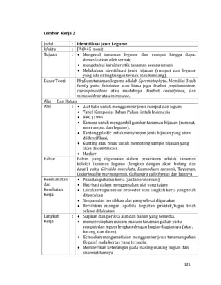 121
Lembar Kerja 2
Judul : Identifikasi Jenis Legume
Waktu : JP @ 45 menit
Tujuan :  Mengenal tanaman legume dan rumput hingga dapat
dimanfaatkan oleh ternak
 mengetahui karakteristik tanaman secara umum
 Melakukan identifikasi jenis hijauan (rumput dan legume
yang ada di lingkungan ternak atau kandang).
Dasar Teori Phyllum tanaman legume adalah Spermatophyta. Memiliki 3 sub
family yaitu faboideae atau biasa juga disebut papilionoideae,
caesalpinioideae atau mudahnya disebut caesalpinae, dan
mimosoideae atau mimoseae.
Alat Dan Bahan
Alat :  Alat tulis untuk menggambar jenis rumput dan legum
 Tabel Komposisi Bahan Pakan Untuk Indonesia
 NRC (1994
 Kamera untuk mengambil gambar tanaman hijauan (rumput,
non rumput dan legume),
 Kantong plastic untuk menyimpan jenis hijauan yang akan
diidentifikasi,
 Gunting atau pisau untuk memotong sample hijauan yang
akan diidentifikasi.
 Masker
Bahan Bahan yang digunakan dalam praktikum adalah tanaman
koleksi tanaman legume (lengkap dengan akar, batang dan
daun) yaitu Gliricida maculata, Desmodium rensonii, Tayuman,
Codariocallix murbangensis, Calliandra calothyrsus dan lainnya
Keselamatan
dan
Kesehatan
Kerja
 Pakailah pakaian kerja (jas laboratorium)
 Hati-hati dalam menggunakan alat yang tajam
 Lakukan tugas sesuai prosedur atau langkah kerja yang telah
ditentukan
 Simpan dan bersihkan alat yang selesai digunakan
 Bersihkan ruangan apabila kegiatan praktek/tugas telah
selesai dilakukan
Langkah
Kerja
:  Siapkan dan periksa alat dan bahan yang tersedia.
 mempersiapkan macam-macam tanaman pakan yaitu
rumput dan legum lengkap dengan bagian-bagiannya (akar,
batang, dan daun).
 Kemudian mengamati dan menggambar jenis tanaman pakan
(legum) pada kertas yang tersedia.
 Memberikan keterangan pada masing-masing bagian dan
sistematikannya
 
