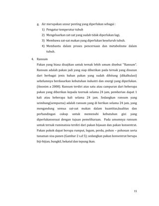 11
g. Air merupakan unsur penting yang diperlukan sebagai :
1) Pengatur temperatur tubuh
2) Mengeluarkan zat-zat yang sudah tidak diperlukan lagi,
3) Membawa zat-zat makan yang diperlukan keseluruh tubuh.
4) Membantu dalam proses pencernaan dan metabolisme dalam
tubuh.
4. Ransum
Pakan yang biasa disajikan untuk ternak lebih umum disebut ''Ransum".
Ransum adalah pakan jadi yang siap diberikan pada ternak yang disusun
dari berbagai jenis bahan pakan yang sudah dihitung (dikalkulasi)
sebelumnya berdasarkan kebutuhan industri dan energi yang diperlukan.
(Anonim a 2008). Ransum terdiri atas satu atau campuran dari beberapa
pakan yang diberikan kepada teernak selama 24 jam, pemberian dapat 1
kali atau beberapa kali selama 24 jam. Sedangkan ransum yang
seimbang(sempurna) adalah ransum yang di berikan selama 24 jam, yang
mengandung semua zat-zat makan dalam kuantitas,kualitas dan
perbandingan cukup untuk memenuhi kebutuhan gizi yang
diperlukansesuai dengan tujuan pemeliharaan. Pada umumnya ransum
untuk ternak ruminansia terdiri dari pakan hijauan dan pakan konsentrat.
Pakan pokok dapat berupa rumput, legum, perdu, pohon – pohonan serta
tanaman sisa panen (Gambar 2 s.d 5); sedangkan pakan konsentrat berupa
biji-bijian, bungkil, bekatul dan tepung ikan.
 