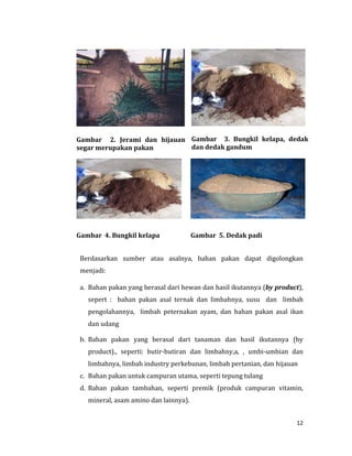 12
Gambar 2. Jerami dan hijauan
segar merupakan pakan
Gambar 3. Bungkil kelapa, dedak
dan dedak gandum
Gambar 4. Bungkil kelapa Gambar 5. Dedak padi
Berdasarkan sumber atau asalnya, bahan pakan dapat digolongkan
menjadi:
a. Bahan pakan yang berasal dari hewan dan hasil ikutannya (by product),
sepert : bahan pakan asal ternak dan limbahnya, susu dan limbah
pengolahannya, limbah peternakan ayam, dan bahan pakan asal ikan
dan udang
b. Bahan pakan yang berasal dari tanaman dan hasil ikutannya (by
product)., seperti: butir-butiran dan limbahny,a, , umbi-umbian dan
limbahnya, limbah industry perkebunan, limbah pertanian, dan hijauan
c. Bahan pakan untuk campuran utama, seperti tepung tulang
d. Bahan pakan tambahan, seperti premik (produk campuran vitamin,
mineral, asam amino dan lainnya).
 