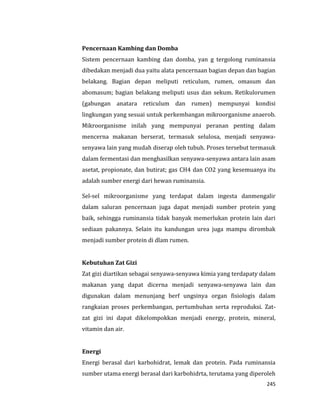 245
Pencernaan Kambing dan Domba
Sistem pencernaan kambing dan domba, yan g tergolong ruminansia
dibedakan menjadi dua yaitu alata pencernaan bagian depan dan bagian
belakang. Bagian depan meliputi reticulum, rumen, omasum dan
abomasum; bagian belakang meliputi usus dan sekum. Retikulorumen
(gabungan anatara reticulum dan rumen) mempunyai kondisi
lingkungan yang sesuai untuk perkembangan mikroorganisme anaerob.
Mikroorganisme inilah yang mempunyai peranan penting dalam
mencerna makanan berserat, termasuk selulosa, menjadi senyawa-
senyawa lain yang mudah diserap oleh tubuh. Proses tersebut termasuk
dalam fermentasi dan menghasilkan senyawa-senyawa antara lain asam
asetat, propionate, dan butirat; gas CH4 dan CO2 yang kesemuanya itu
adalah sumber energi dari hewan ruminansia.
Sel-sel mikroorganisme yang terdapat dalam ingesta danmengalir
dalam saluran pencernaan juga dapat menjadi sumber protein yang
baik, sehingga ruminansia tidak banyak memerlukan protein lain dari
sediaan pakannya. Selain itu kandungan urea juga mampu dirombak
menjadi sumber protein di dlam rumen.
Kebutuhan Zat Gizi
Zat gizi diartikan sebagai senyawa-senyawa kimia yang terdapaty dalam
makanan yang dapat dicerna menjadi senyawa-senyawa lain dan
digunakan dalam menunjang berf ungsinya organ fisiologis dalam
rangkaian proses perkembangan, pertumbuhan serta reproduksi. Zat-
zat gizi ini dapat dikelompokkan menjadi energy, protein, mineral,
vitamin dan air.
Energi
Energi berasal dari karbohidrat, lemak dan protein. Pada ruminansia
sumber utama energi berasal dari karbohidrta, terutama yang diperoleh
 