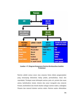 386
Gambar 47. Diagram Komponen Nutrien Berdasarkan Analisis
Proksimat
Nutrien adalah semua unsur atau senyawa kimia dalam pangan/pakan
yang menunjang kebutuhan hidup pokok, pertumbuhan, latasi dan
reproduksi. Terdapat enam kelompok nutrien yaitu air, protein dan asam
amino, karbohodrat, lemak, vitamin dan unsur inorganik atau mineral.
Protein, karbohidrat dan lemak disebut sebagai nutrien makro, sedangkan
Vitamin dan mineral disebut nutrien mikro. Nutrien makro dibutuhkan
 