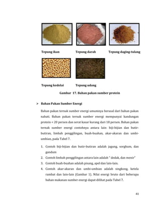 43
Tepung ikan Tepung darah Tepung daging-tulang
Tepung kedelai Tepung udang
Gambar 17. Bahan pakan sumber protein
 Bahan Pakan Sumber Energi
Bahan pakan ternak sumber energi umumnya berasal dari bahan pakan
nabati. Bahan pakan ternak sumber energi mempunyai kandungan
protein < 20 persen dan serat kasar kurang dari 18 persen. Bahan pakan
ternak sumber energi contohnya antara lain: biji-bijian dan butir-
butiran, limbah penggilingan, buah-buahan, akar-akaran dan umbi-
umbian, pada Tabel 7.
1. Contoh biji-bijian dan butir-butiran adalah jagung, sorghum, dan
gandum
2. Contoh limbah penggilingan antara lain adalah " dedak, dan menir”
3. Contoh buah-buahan adalah pisang, apel dan lain-lain.
4. Contoh akar-akaran dan umbi-umbian adalah singkong, ketela
rambat dan lain-lain (Gambar 1). Nilai energi bruto dari beberapa
bahan makanan sumber energi dapat dilihat pada Tabel 7.
 
