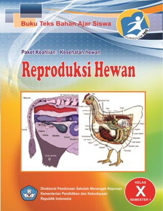 84 Gambar Unggas Ayam Petelur Serta Bagian-bagiannya Terbaik