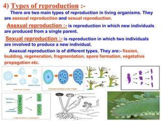 X-8-How do organisms reproduce.ppt