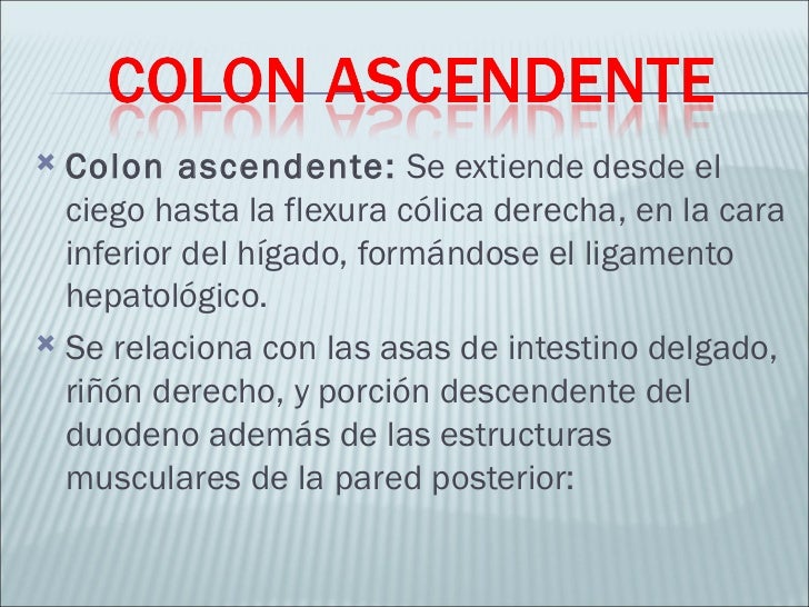 Vita valida en el tratamiento del alcoholismo