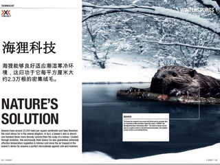 海狸科技
海狸能够良好适应潮湿寒冷环
境，这归功于它每平方厘米大
约2.3万根的密集绒毛。
 