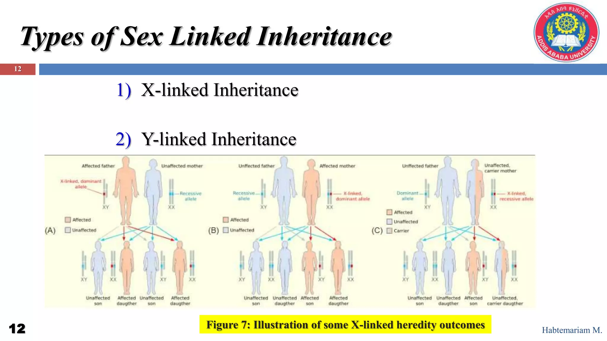 X-chromosome and sex-linked diseases.pptx