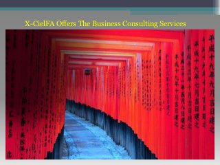 X-CielFA Offers The Business Consulting Services
 