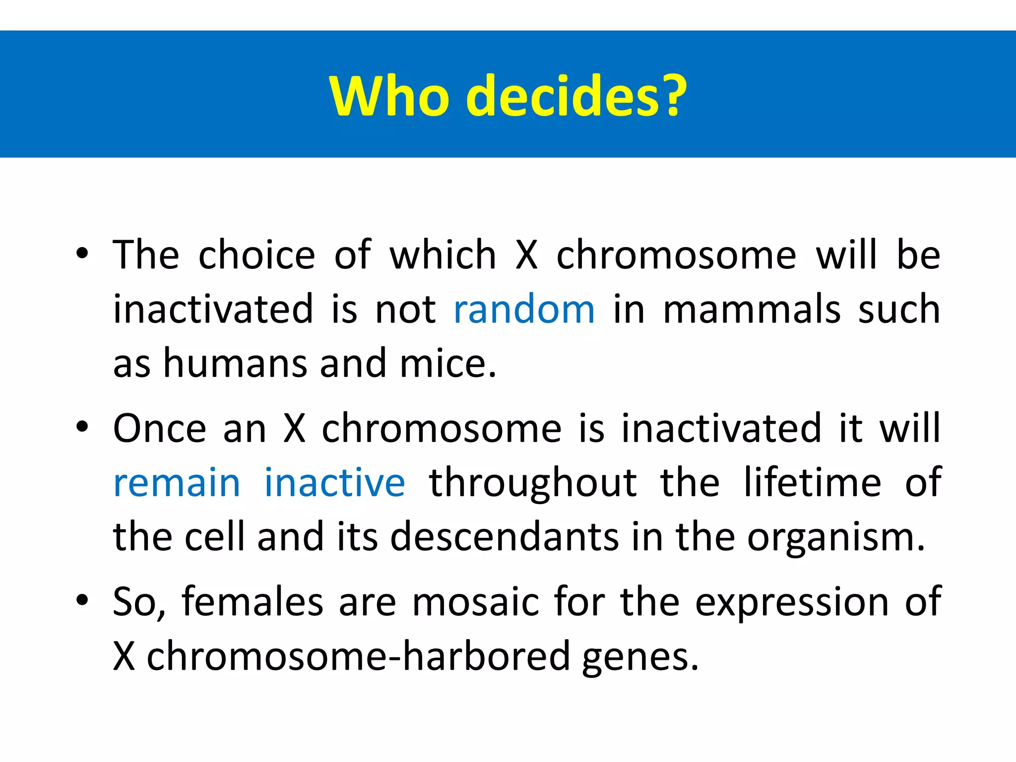 Who decides?
• The choice of which X chromosome will be
inactivated is not random in mammals such
as humans and mice.
• Once an X chromosome is inactivated it will
remain inactive throughout the lifetime of
the cell and its descendants in the organism.
• So, females are mosaic for the expression of
X chromosome-harbored genes.
 