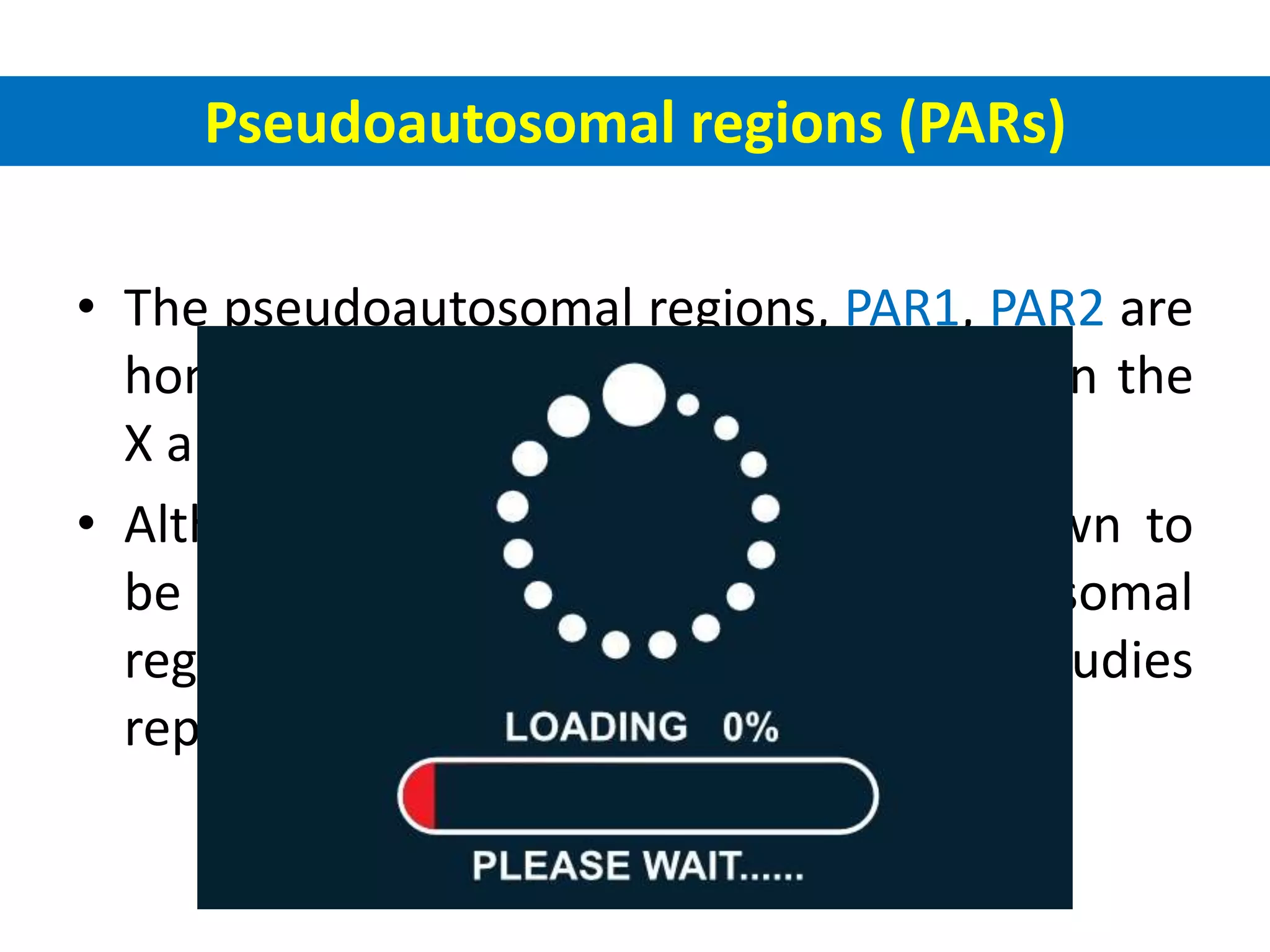 • The pseudoautosomal regions, PAR1, PAR2 are
homologous sequences of nucleotides on the
X and Y chromosomes.
• Although genetic recombination is known to
be limited only to the pseudoautosomal
regions (PAR1 and PAR2), new studies
reported a new PAR; PAR3.
Pseudoautosomal regions (PARs)
 