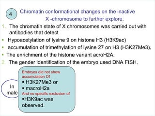 Chromatin conformational changes on the inactive
X -chromosome to further explore.
1. The chromatin state of X chromosomes was carried out with
antibodies that detect
 Hypoacetylation of lysine 9 on histone H3 (H3K9ac)
 accumulation of trimethylation of lysine 27 on H3 (H3K27Me3).
 The enrichment of the histone variant acroH2A.
2. The gender identification of the embryo used DNA FISH.
4

Embryos did not show
accumulation Of

In
male

 H3K27Me3 or
 macroH2a
And no specific exclusion of

H3K9ac was
observed.

 