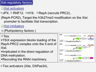 Xist regulatory factors

Xist activators
JPX. RNF12. H19. RepA (recruits PRC2)..
(RepA-PCR2)..Target the H3k27me3 modification on the Xist
promoter to facilitate Xist transcription.
Xist inhibators
(Plulripotency factors )
Tsix
TSIX expression blocks loading of the
RepA-PRC2 complex onto the 5 end of
Xist.
Implicated in the direct regulation of
DNA methylation.
Recruiting the RNAI machinery.
Tsix activators (Xite, DXPas34).

 
