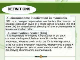 XCI is a dosage-compensation mechanism that evolved to
equalize expression levels of x-linked genes in female (2x) and
male (1x) by transcriptional silencing of one x-chromosome in
female mammalian cells.
It is responsible for initiating X inactivation in cis: an Xchromosome fragment that carries a Xic can become
inactivated, whereas one in which the Xic is missing cannot.
The Xic is also involved in „counting‟, whereby only a single X
is kept active per two sets of autosomes in a cell, and all other
Xic-carrying chromosomes are inactivated.

 