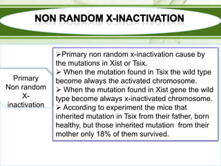 Primary
Non random
Xinactivation

Primary non random x-inactivation cause by
the mutations in Xist or Tsix.
 When the mutation found in Tsix the wild type
become always the activated chromosome.
 When the mutation found in Xist gene the wild
type become always x-inactivated chromosome.
 According to experiment the mice that
inherited mutation in Tsix from their father, born
healthy, but those inherited mutation from their
mother only 18% of them survived.

 