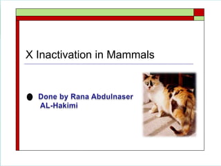 X Inactivation in Mammals

 