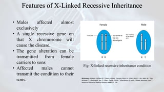 • Males affected almost
exclusively
• A single recessive gene on
that X chromosome will
cause the disease.
• The gene alteration can be
transmitted from female
carriers to sons
• Affected males cannot
transmit the condition to their
sons.
Fig: X-linked recessive inheritance condition
Reference: Dobyns, William B.; Filauro, Allison; Tomson, Brett N.; Chan, April S.; Ho, Allen W.; Ting,
Nicholas T.; Oosterwijk, Jan C.; Ober, Carole (2004). "Inheritance of most X-linked recessive traits” .
American Journal of Medical Genetics 129A (2): 136.
Features of X-Linked Recessive Inheritance
 