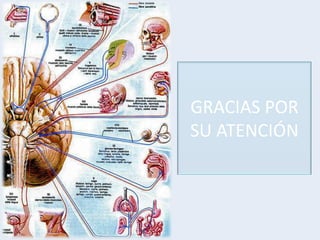 GRACIAS POR
SU ATENCIÓN
 