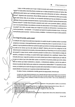 X-Pleno-Casatorio.pdf