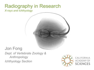 Jon Fong
Dept. of Vertebrate Zoology &
Anthropology
Ichthyology Section
Radiography in Research
X-rays and Ichthyology
 