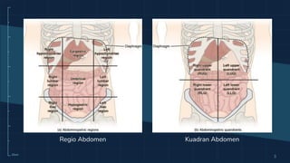 10cm
3
Regio Abdomen Kuadran Abdomen
 