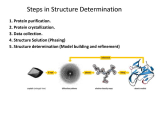 Steps in Structure Determination
1. Protein purification.
2. Protein crystallization.
3. Data collection.
4. Structure Solution (Phasing)
5. Structure determination (Model building and refinement)
 