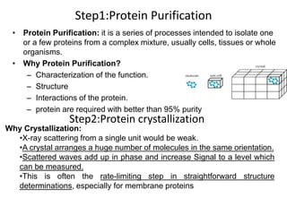 Step1:Protein Purification
• Protein Purification: it is a series of processes intended to isolate one
or a few proteins from a complex mixture, usually cells, tissues or whole
organisms.
• Why Protein Purification?
– Characterization of the function.
– Structure
– Interactions of the protein.
– protein are required with better than 95% purity
Step2:Protein crystallization
Why Crystallization:
•X-ray scattering from a single unit would be weak.
•A crystal arranges a huge number of molecules in the same orientation.
•Scattered waves add up in phase and increase Signal to a level which
can be measured.
•This is often the rate-limiting step in straightforward structure
determinations, especially for membrane proteins
 