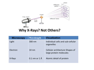Microscopy Wavelength Visualization
Light
Electron
X-Rays
300 nm
10 nm
0.1 nm or 1 Å
Individual cells and sub-cellular
organelles
Cellular architecture Shapes of
large protein molecules
Atomic detail of protein
Why X-Rays? Not Others?
 