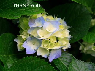 THANK YOU
THANK YOU
45
 