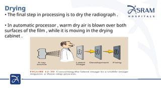 Comprehensive Overview of X-Ray Film Physical Characteristics and ...