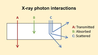 X-ray photon interactions
 