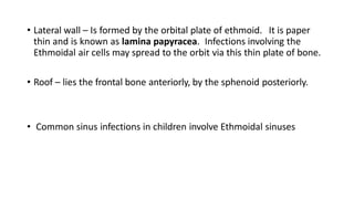 • Lateral wall – Is formed by the orbital plate of ethmoid. It is paper
thin and is known as lamina papyracea. Infections involving the
Ethmoidal air cells may spread to the orbit via this thin plate of bone.
• Roof – lies the frontal bone anteriorly, by the sphenoid posteriorly.
• Common sinus infections in children involve Ethmoidal sinuses
 